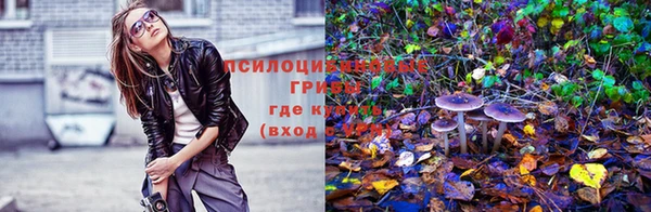 эйфоретик Алексеевка