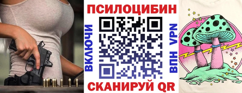 Галлюциногенные грибы Cubensis  Багратионовск 